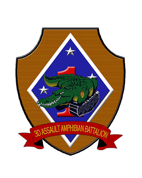 File:3rdAAVinsignia.jpg