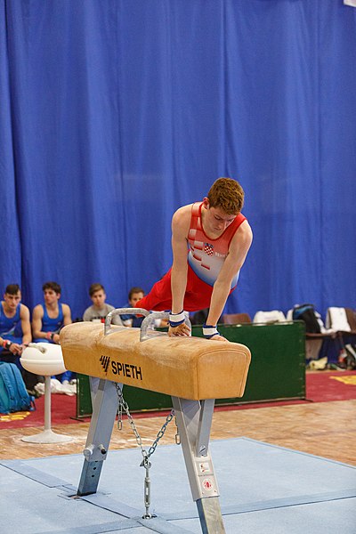 File:5th Budapest Cup 2019-05-25 Mateo Žugec (Norman Seibert) - 06058.jpg