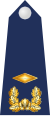 Знак прапорщика ВВС Южной Кореи 