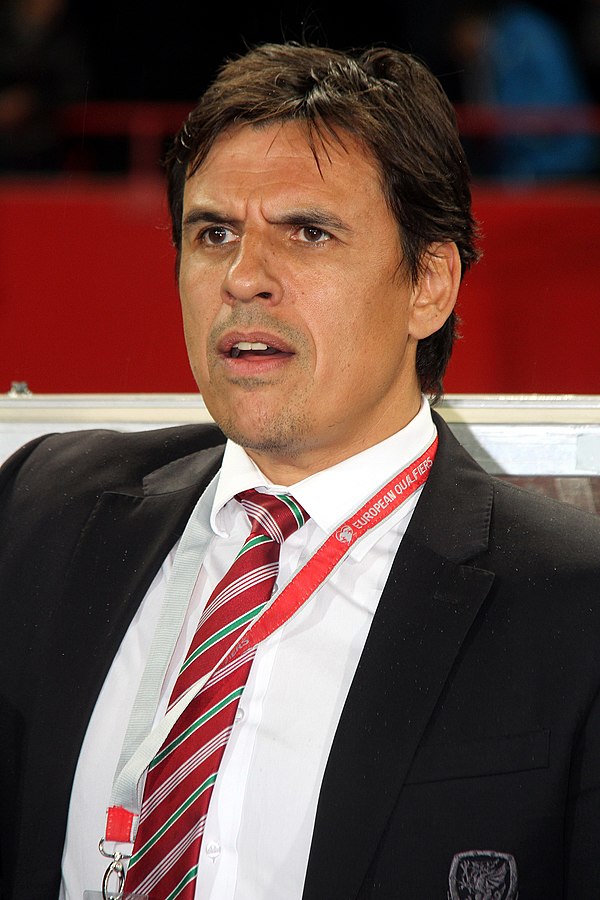 Coleman as manager of Wales in 2016