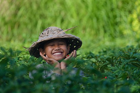 A Balinese girl posing in a flower field