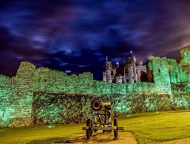 Trim Castle at night.