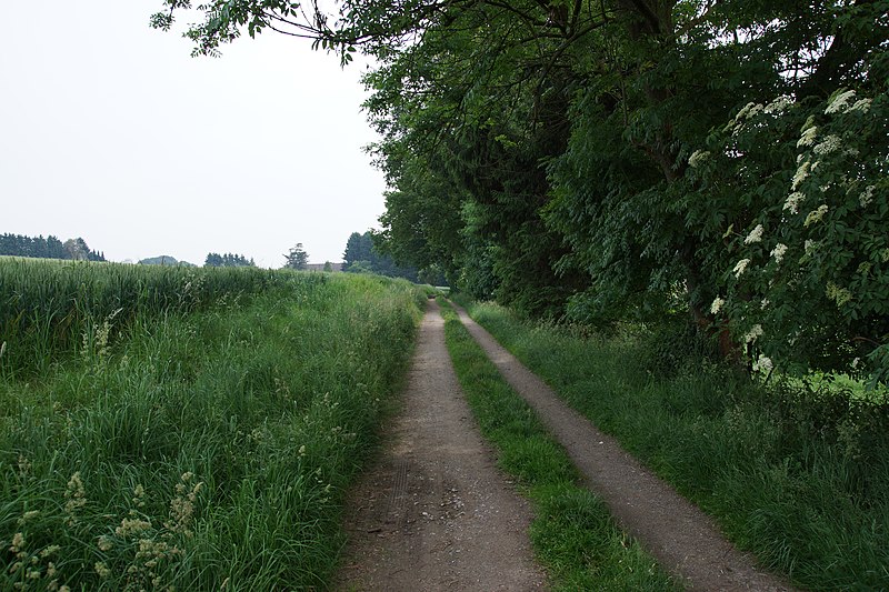 File:A part of Mettmann - panoramio.jpg