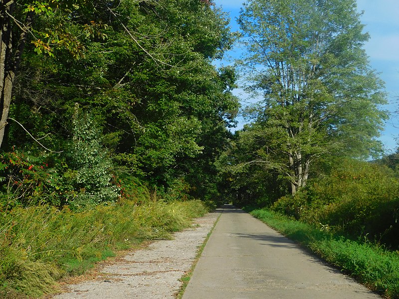 File:Abandoned NY 382.jpg