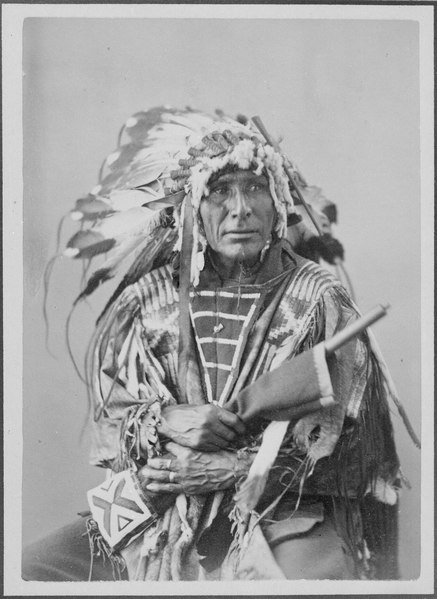 File:Afraid Of The Bear-Ma-To-Ko-Kepa. Cut Head, Sioux, 1872 - NARA - 519024.tif