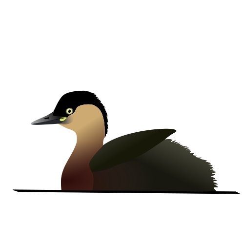 File:AlaotraGrebe.svg