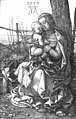 Albrecht Dürer - Madonna by the Tree - WGA7314.jpg