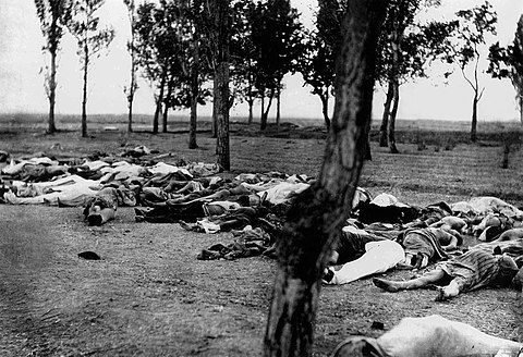 The Armenian genocide (pictured) was the first event which was officially condemned as a "crime against humanity" in the May 1915 Triple Entente declaration.