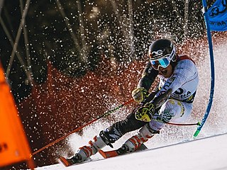 <span class="mw-page-title-main">Andrej Drukarov</span> Lithuanian alpine skier (born 1999)