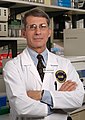 Anthony S. Fauci, M.D., NIAID Director (26511521050) (half length crop).jpg (AntiCompositeNumber, Special:Diff/947462396, 2003)