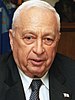 Ariel Sharon Headshot (1).jpg