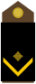 Ejército-HRV-OR-04.svg