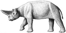 Life restoration of A. zitteli by Mauricio Anton Arsinoitherium by Anton.jpg