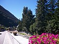 I muretti degli argini della Garonna sono decorati di fiori