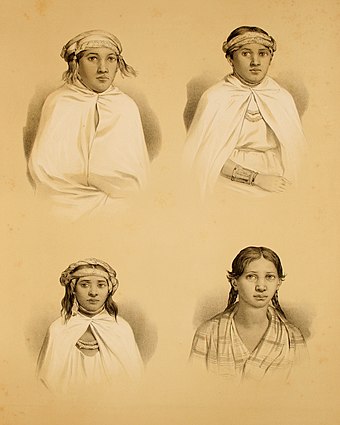 The Mapuche were the original inhabitants of central and southern Chile