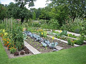 Augsburg Bot Garten Oekoanbau.jpg