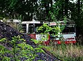 Ausrangierte Busse, Freiheit, Nähe Klärwerkstraße, Berlin-Spandau, Bild 2.jpg