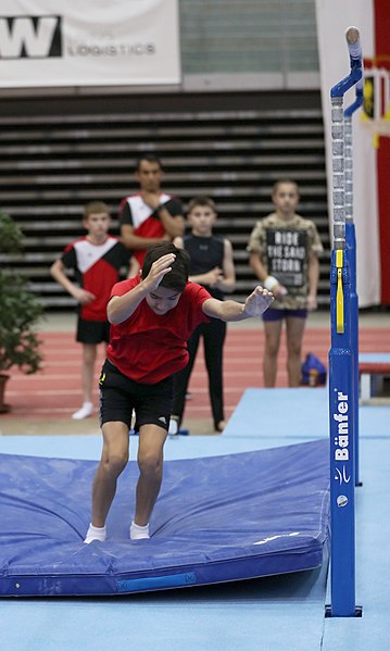 File:Austrian Future Cup 2018-11-23 Training Afternoon Parallel bars (Martin Rulsch) 0040.jpg
