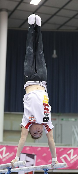 File:Austrian Future Cup 2018-11-23 Training Afternoon Parallel bars (Martin Rulsch) 0933.jpg