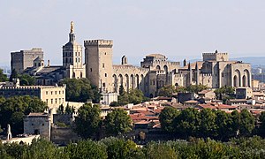 Le palais des papes vu depuis la Tour Philippe le Bel