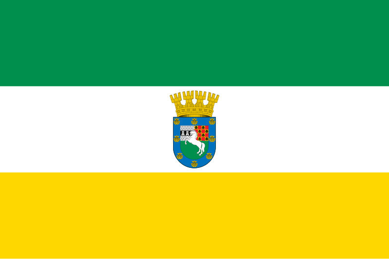 File:Bandera de La Pintana.svg