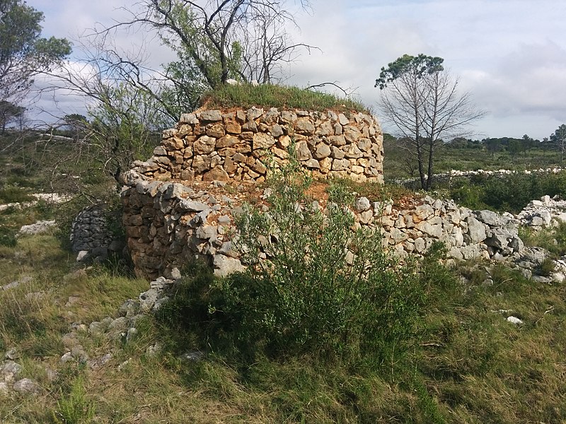 File:Barraca agrícola de pedra seca Vilanant 087 2.jpg