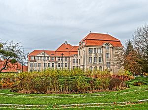 View from Kopernika Street Bdg VI LO 12 10-2013.jpg