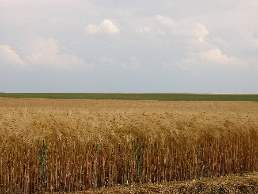 Beauce (Frankreich)