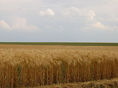 Poljane regije Beauce