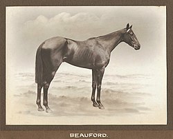 Beauford 1922 Tatts Chelmsford Stakes Randwick majitel závodiště William H Mackay Newcastle trenér Sid Killick.jpg