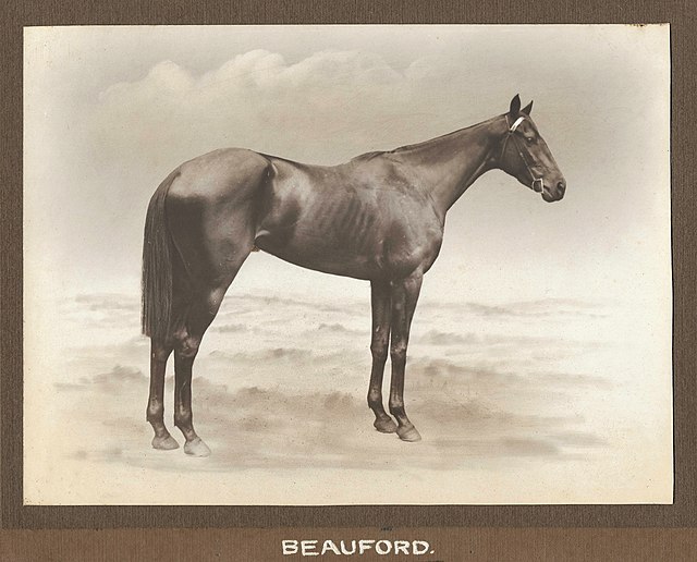 Beauford,1922 winner