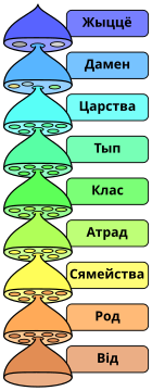 Біялагічная Сістэматыка