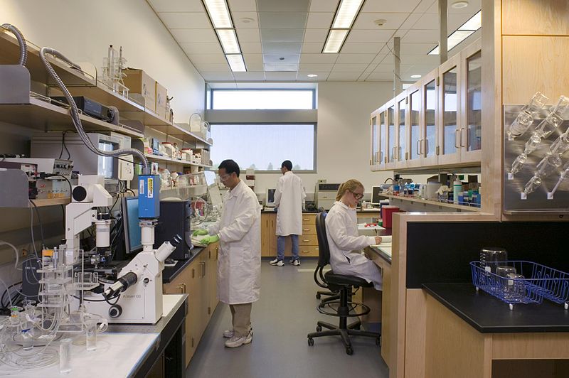 File:Biomedical Engineering Laboratory.jpg