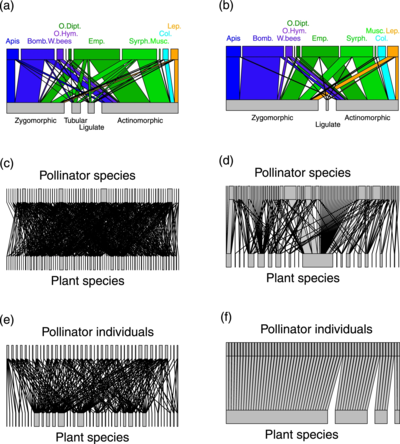 Bipartite pollination networks built from visit surveys and metabarcoding.webp