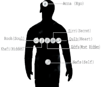 الروحيه داخل جسم الانسان من الكيانات استكشاف & حددهارياض احمد جوهر شاهي في المنارة-ه-نور