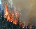 Flames burning up slope during B&B Complex Fires in the Cascade Mountains of Oregon *** Photo shown on Main Page DYK Section 29 Jan 11