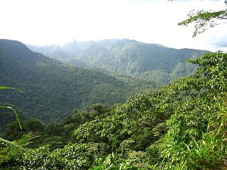 Braulio Carrillo nationalpark