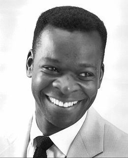 Brock Peters American actor (1927–2005)