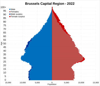 <span class="mw-page-title-main">Demographics of Brussels</span>