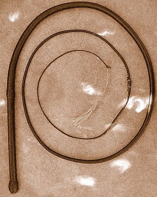 <span class="mw-page-title-main">Bullwhip</span> Single-tailed whip