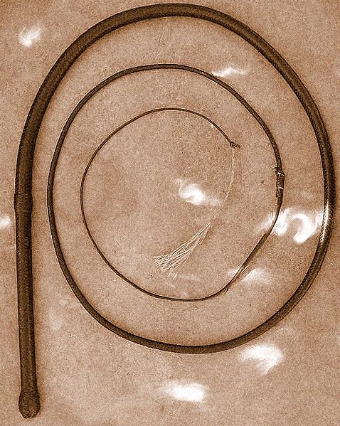 An Australian bullwhip