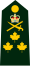 CDN-armeija-LGen-Shoulder.svg