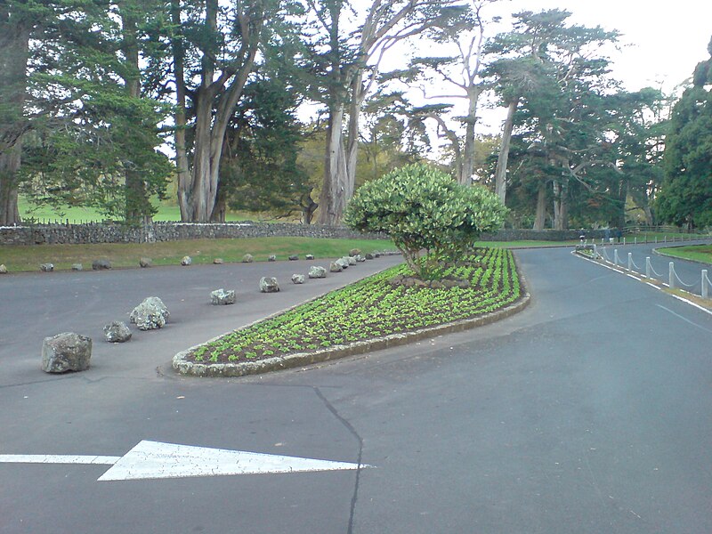 File:Car Park Divider Island, One Tree Hill.jpg