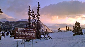 Carcross Desert Winter.jpg