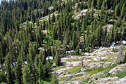 Looking down on Cascade Canyon. 2019