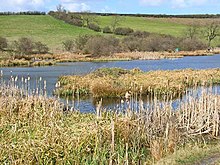 Cassop Vale National Nature Reserve Cassop Vale National Nature Reserve.jpg