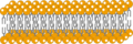 Cell membrane