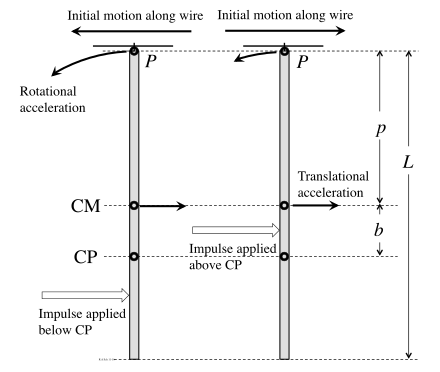 Effects of a blow on a hanging beam. CP is the Center of Percussion, and CM is the Center of Mass of the beam. CenterOfPercussion2.svg