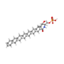 Miniatura per Ceramida-1-fosfat