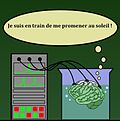 Vignette pour Cerveau dans une cuve